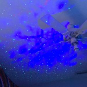 Meet your Posher, Sammy